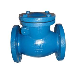 Check valve