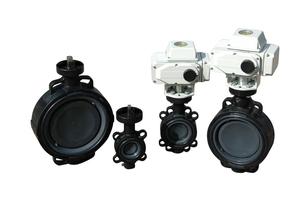 Butterfly valve